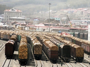 Экспорт фанерного кряжа из России в Китай разоряет предприятия